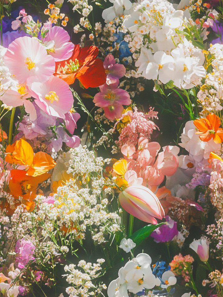 Eternal Embrace: Timeless Elegance Floral Fusion